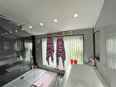 Picture 12